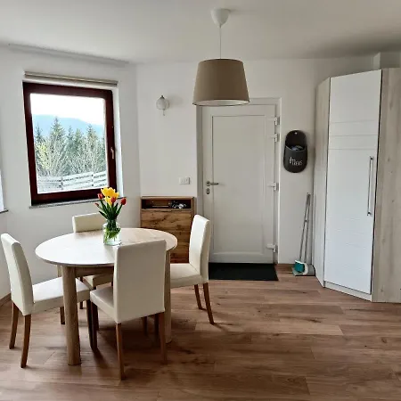 Green Apartment Cerknica Exterior photo